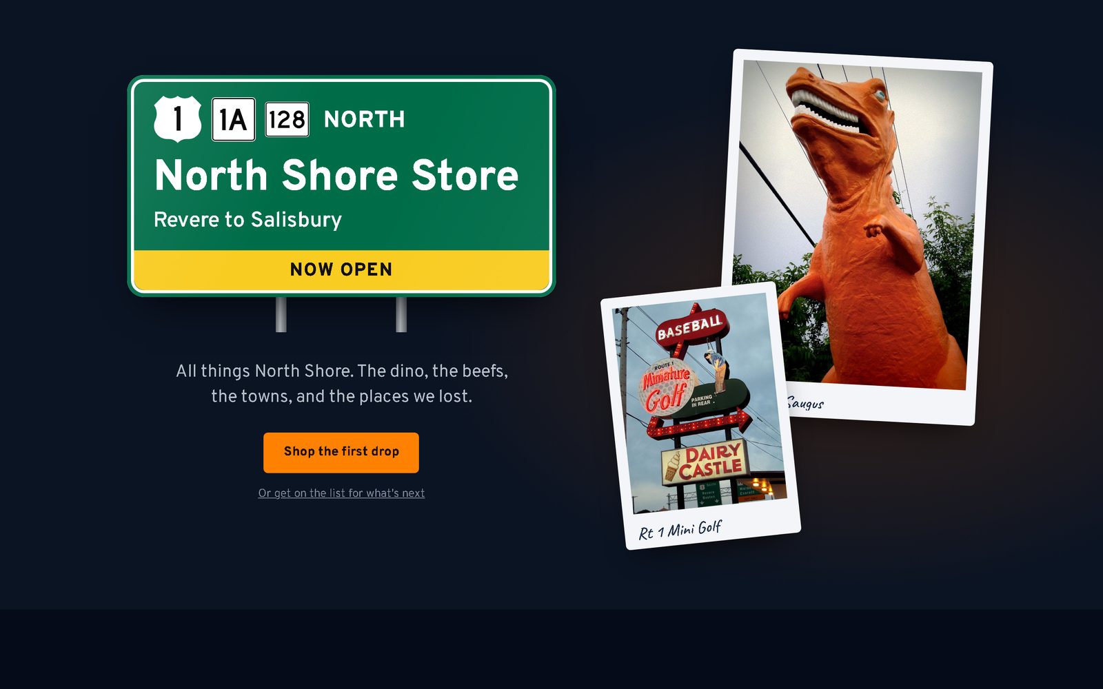 North Shore Store website